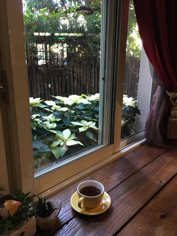 Puli Town B&B Εξωτερικό φωτογραφία
